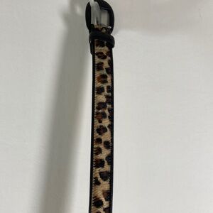 Talbots Leopard Print Belt with Black Accents